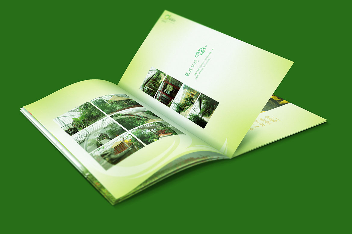 麒麟灣宣傳冊內頁酒店環(huán)境設計