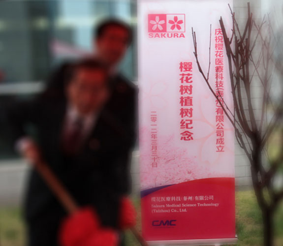 中國醫(yī)藥城泰州櫻花醫(yī)療易拉寶設計 藥城櫻花醫(yī)療易拉寶設計
