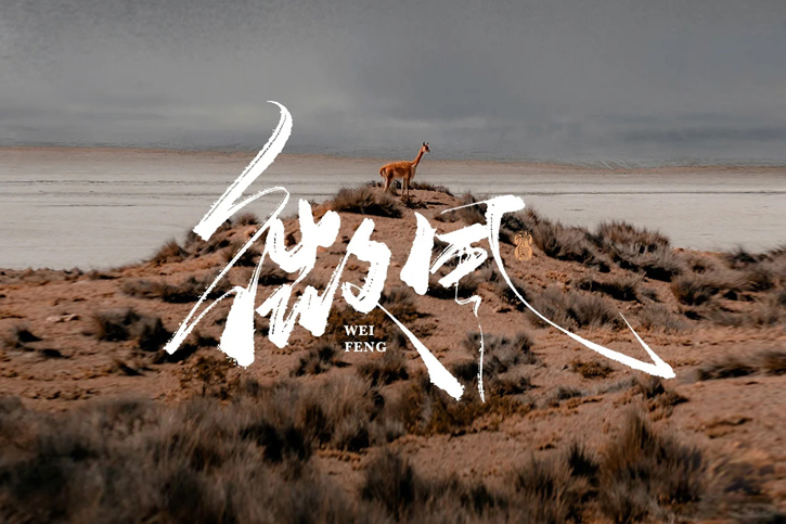 字體設(shè)計(jì)
